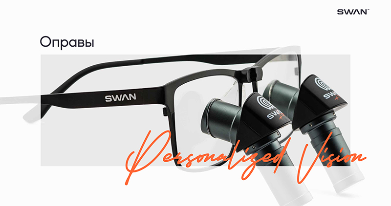 SWAN 31.jpg SWAN 31.jpg
